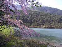 半田山自然公園