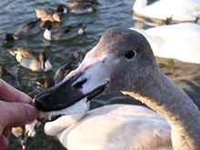 あぶくま親水公園